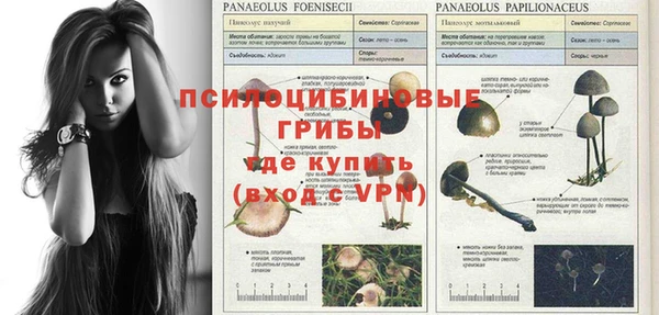 мяу мяу мука Нягань