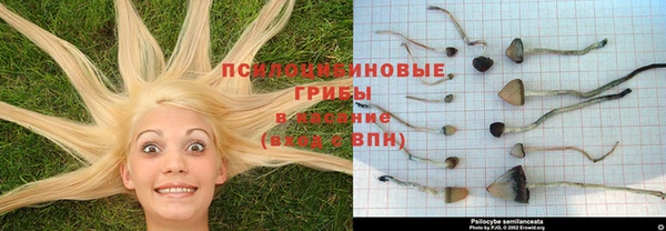 МДПВ Няндома