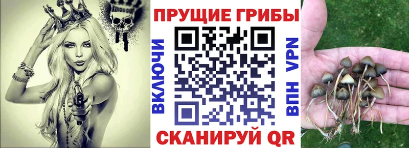 Галлюциногенные грибы Magic Shrooms  Правдинск 